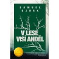 V lese visí anděl