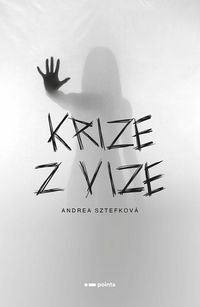 Krize z vize