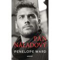 Pan Náladový