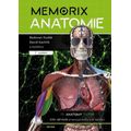 Memorix anatomie