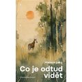 Co je odtud vidět