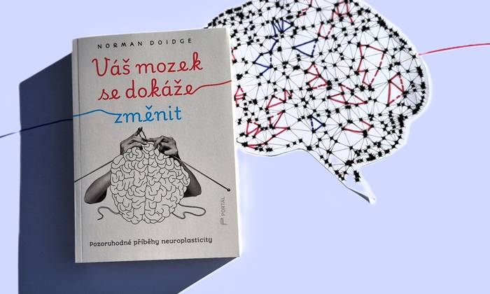 Věříte, že se váš mozek dokáže změnit? Ukážeme, že ano