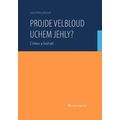 Projde velbloud uchem jehly?